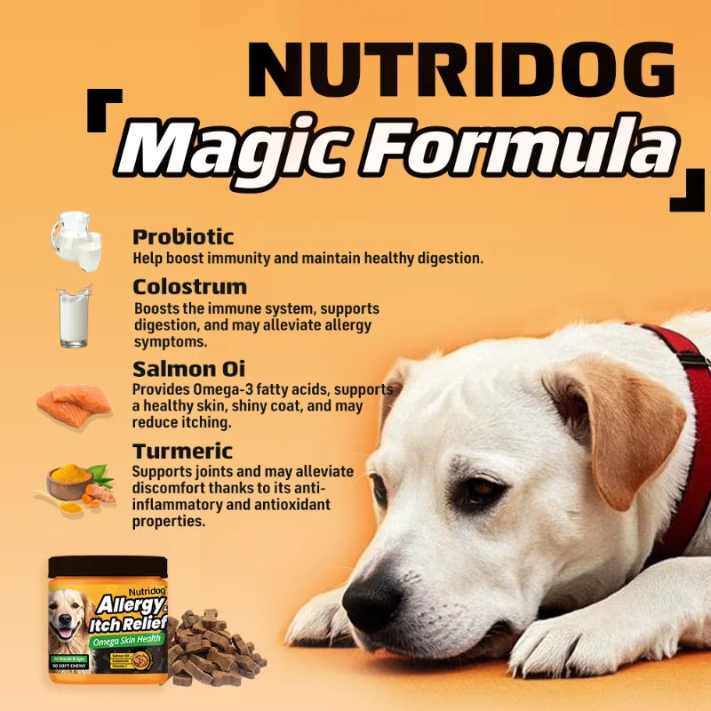 NUTRIDOG Dog Allergy Itch Relief Supplements With Omega-3 Vitamin C Support Skin Immune Health Supplement Nutrition 90 Chews