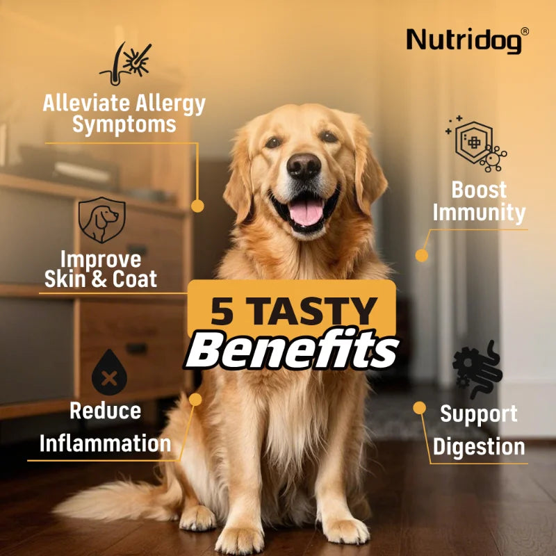 NUTRIDOG Dog Allergy Itch Relief Supplements With Omega-3 Vitamin C Support Skin Immune Health Supplement Nutrition 90 Chews