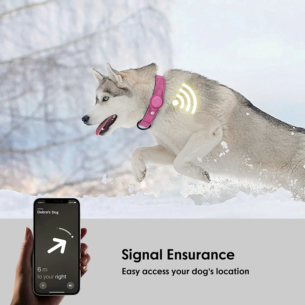 Dog Collar High Quality PU Leather Pet Collars Anti-lost Tag Collar Adjustable for Small Medium Dogs Chihuahua Pug  Accessories