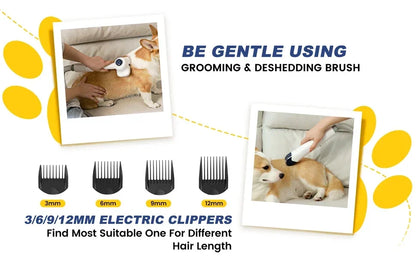 Pet Accessories Wholesale China New Arrivals Containable Dog Hair Vacuum Cleaner With Fitting Bracket Pet Vacuum