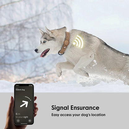 Dog Collar High Quality PU Leather Pet Collars Anti-lost Tag Collar Adjustable for Small Medium Dogs Chihuahua Pug  Accessories