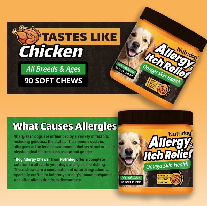 NUTRIDOG Dog Allergy Itch Relief Supplements With Omega-3 Vitamin C Support Skin Immune Health Supplement Nutrition 90 Chews